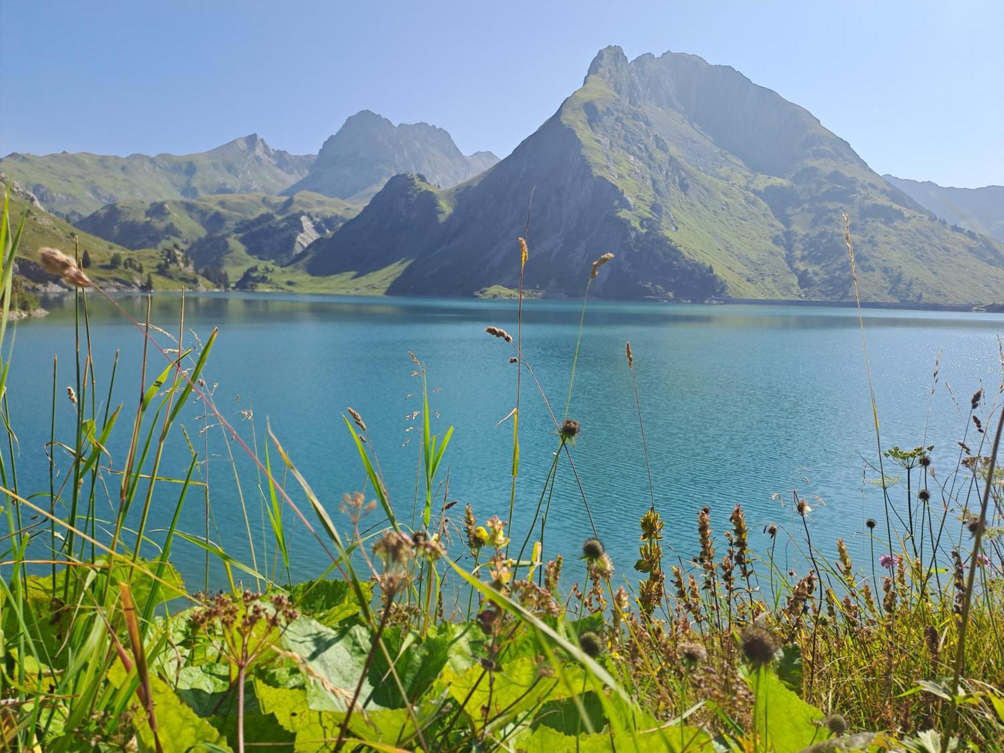 Ferienwohnung Neu Auszeit985 - Auszeit Mit Ausblick Schwarzenberg im Bregenzerwald Exterior foto